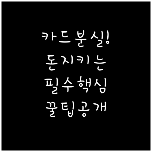 신용카드 분실 후 자동이체 변경 및 ..