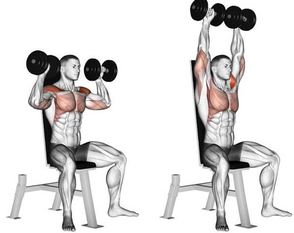 덤벨 숄더 프레스