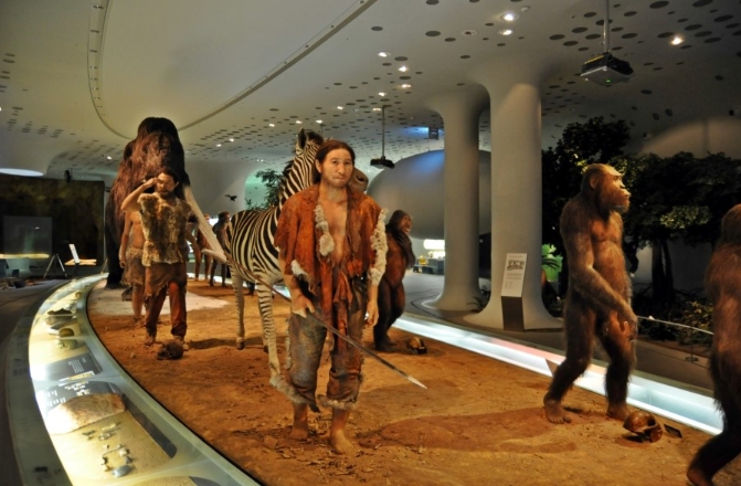 전곡 선사박물관