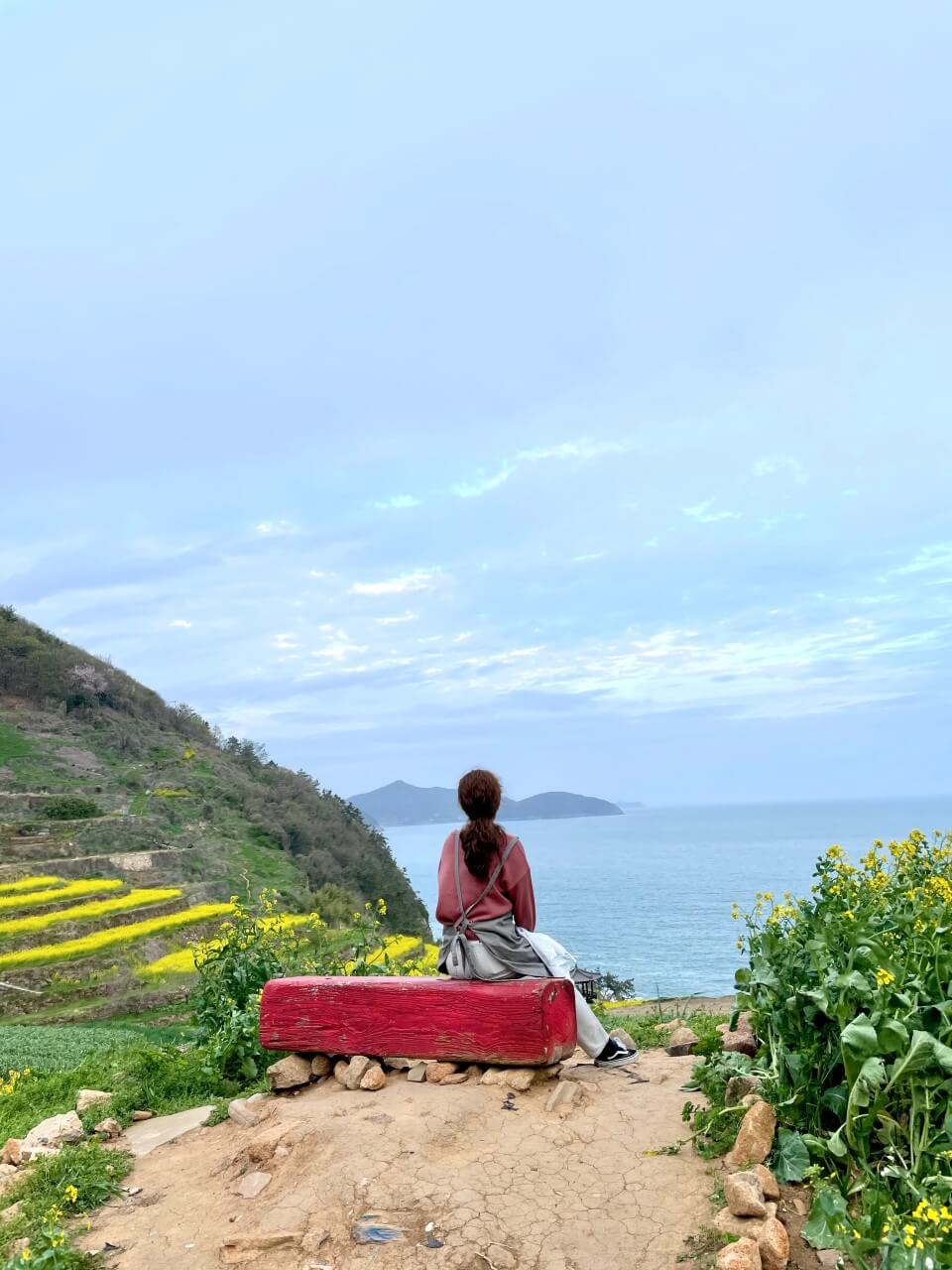 생생정보 두 집 살림 카페 순이로 남해 한 달 살아보기 카페 톨 생생정보 2299회