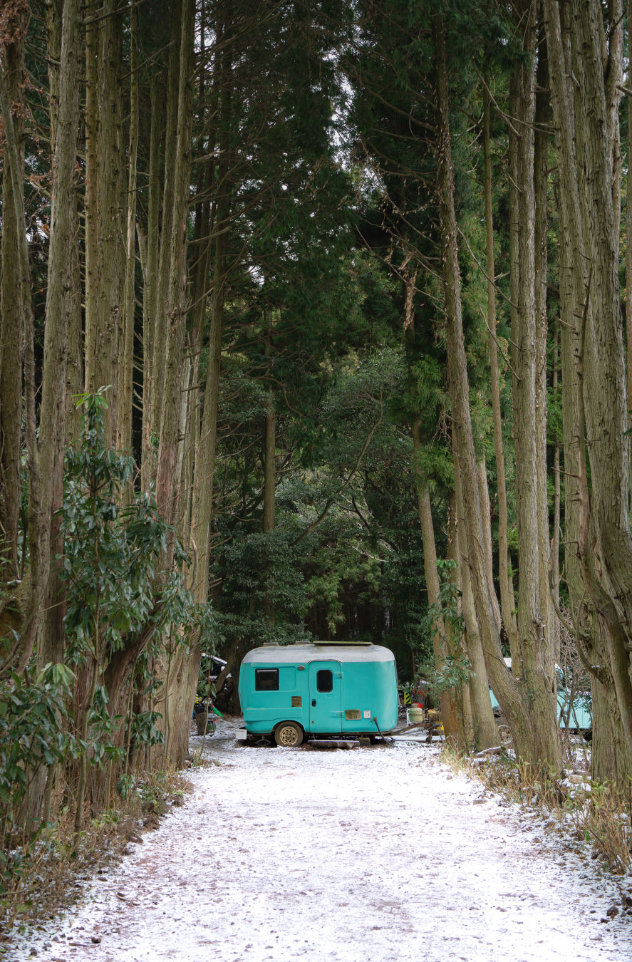 비밀의 숲 풍경 사진