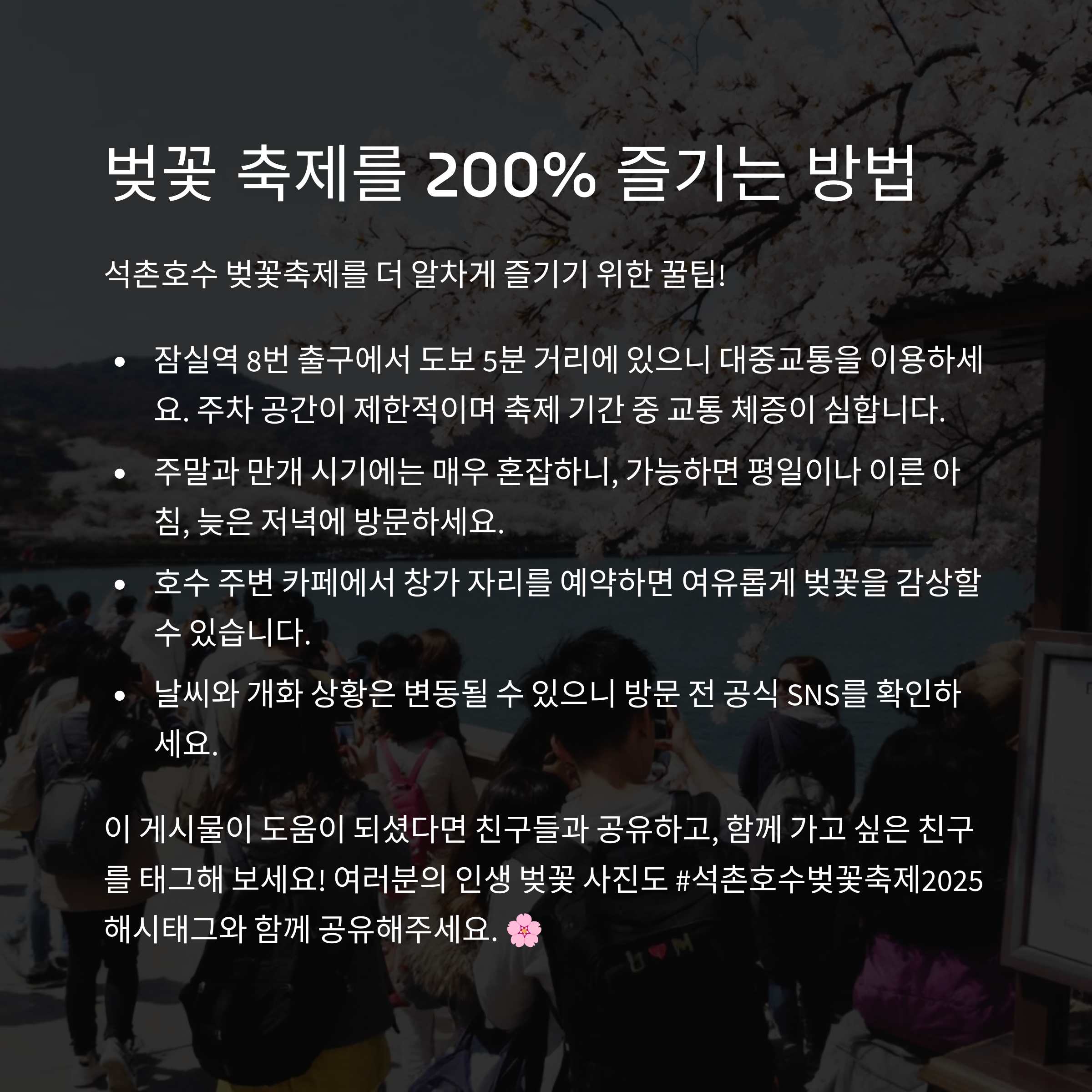 벚꽃축제를 200% 즐기는 방법