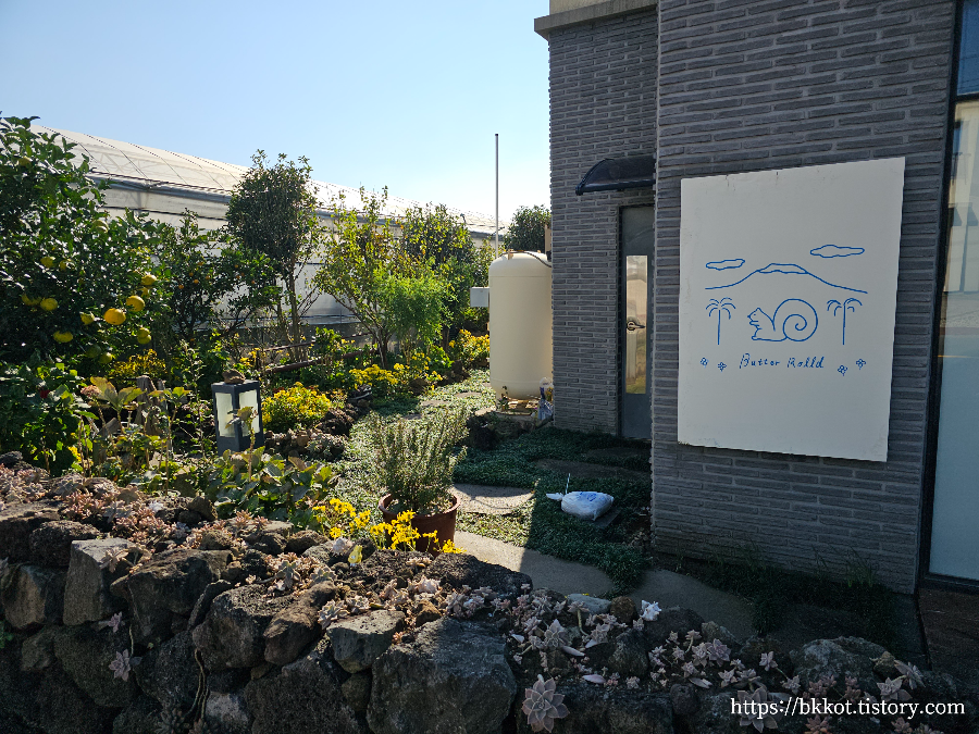 제주도 버터롤드