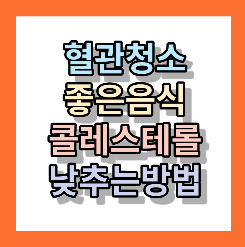 혈관청소에좋은음식,콜레스테롤 수치를 낮추는 방법