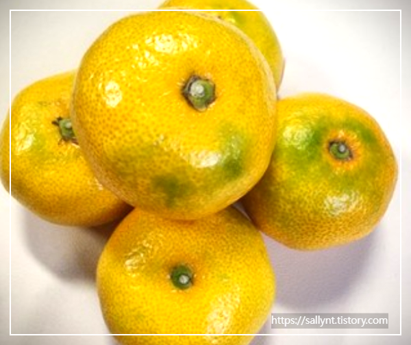 여름 귤의 효능과 부작용