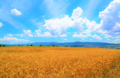 농촌유학 지원사업