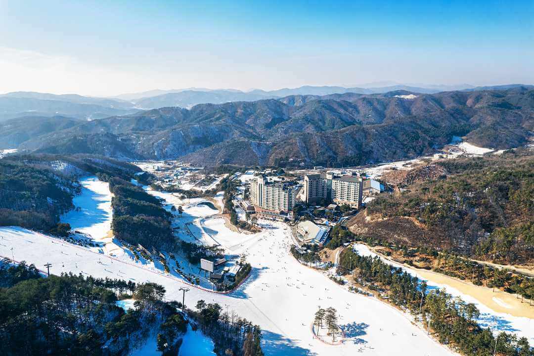 강원도 원주 오크밸리 스키장 2025-2026 시즌권 리프트권 할인 가이드
