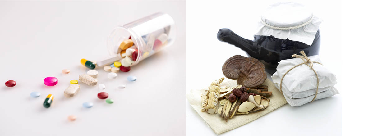 임신 준비 영양제 VS 한약