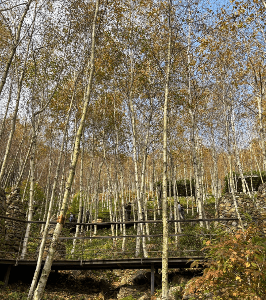 화담숲
