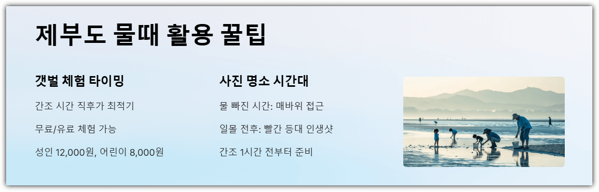 제부도 물때 활용 꿀팁
