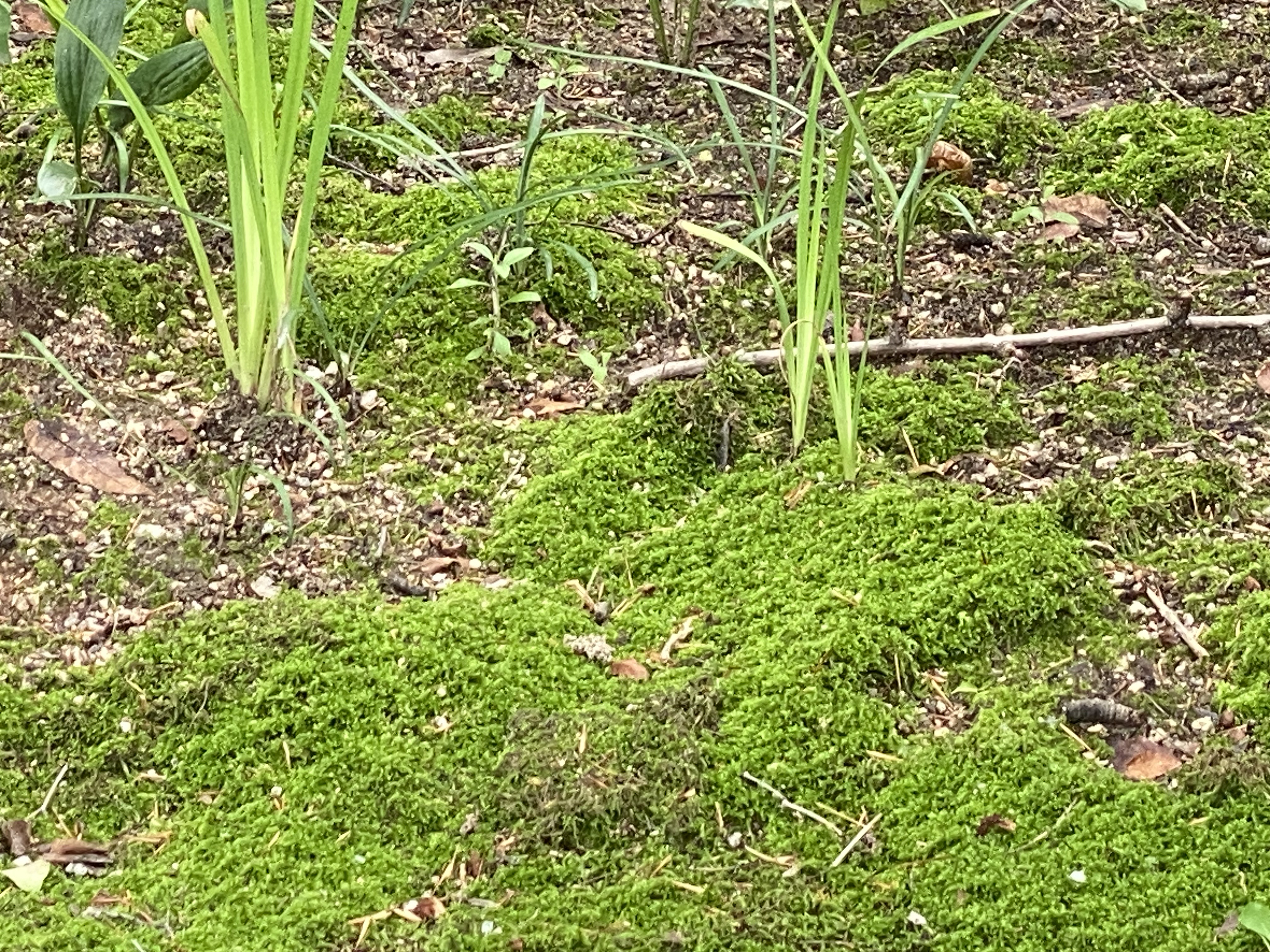 Alt 속성 문제 해결 설명 이미지