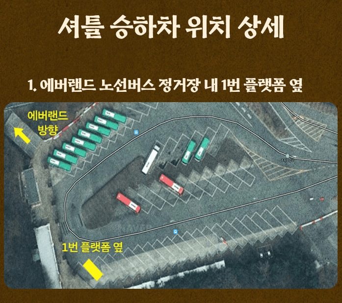 에버랜드 은행나무 숲