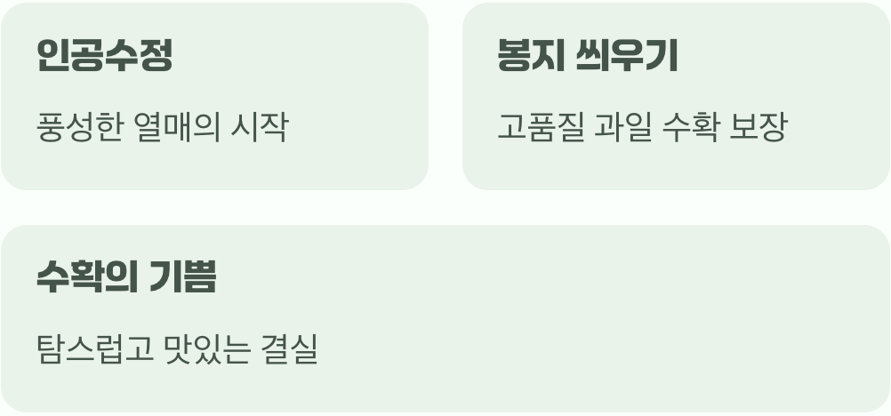 작은 정성이 만드는 명품 사과의 기적