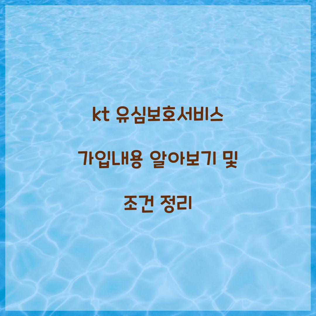kt 유심보호서비스 가입내용