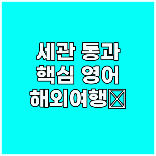 해외여행 필수! 세관 통과 영어, 핵..
