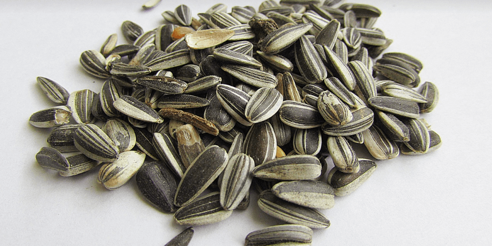 철분이 많은 음식과 관련 된 사진 - 2045