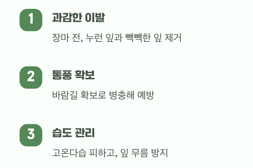 가장 큰 숙제, 무더운 여름나기