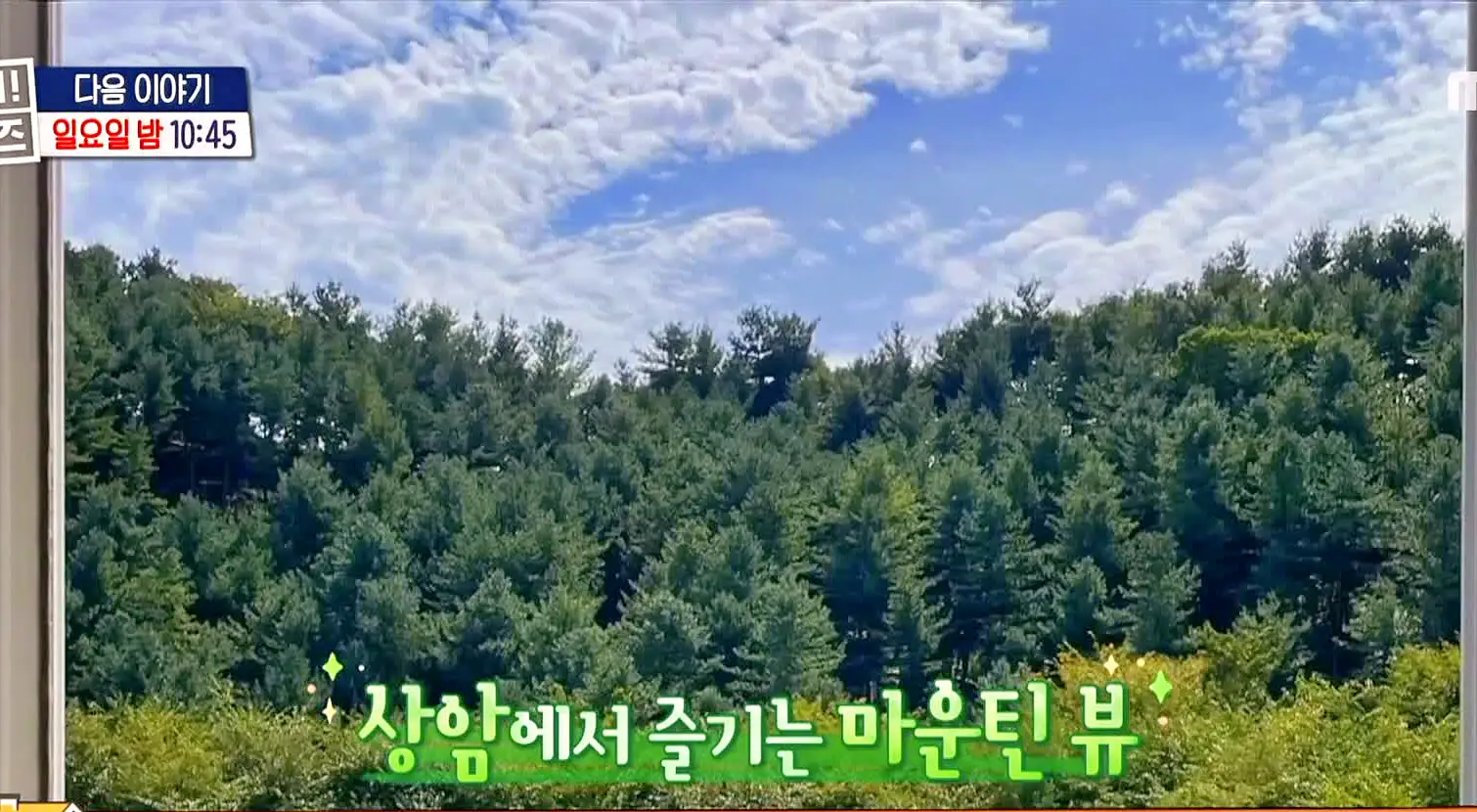 구해줘홈즈 예비 신혼집 마포 용산 매매 15억 망원 도보로만 홍대 스카이라운지 합정과 상수 사이 용산 주상복합 납시오 리모할 결심 매물 리모델링 인테리어 최종 선택 소개