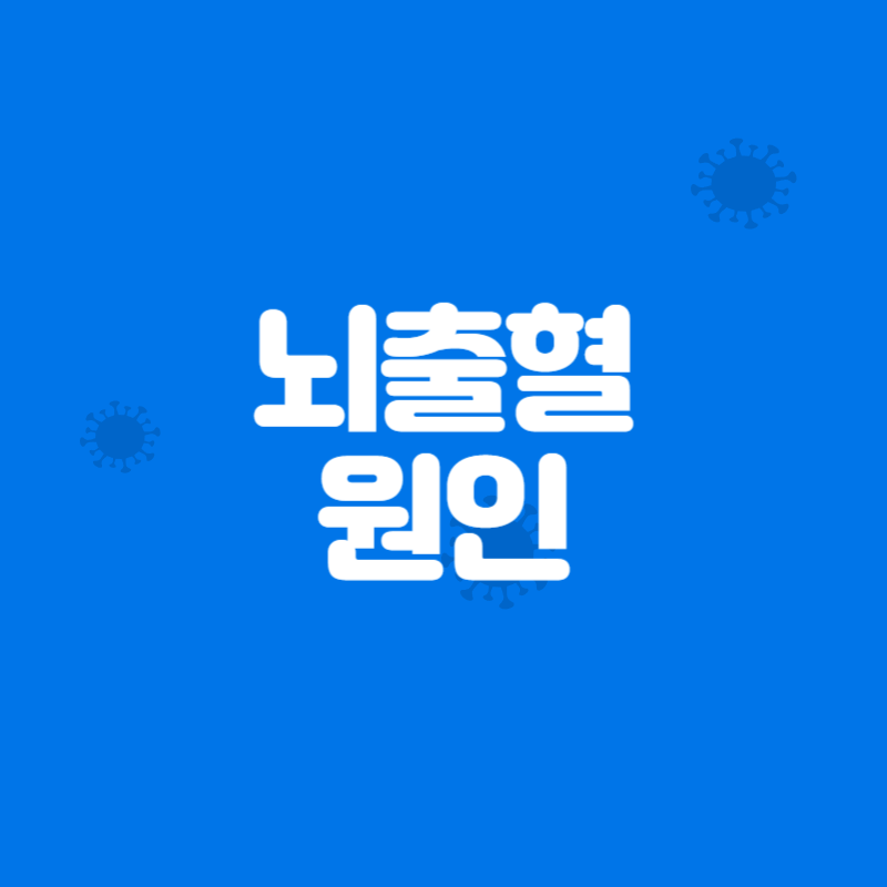 뇌출혈 원인