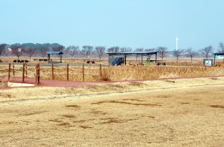 대부도파크골프장 (대부바다향기테마파크 페스티벌파크,
메타세콰이어길 파크골프장)