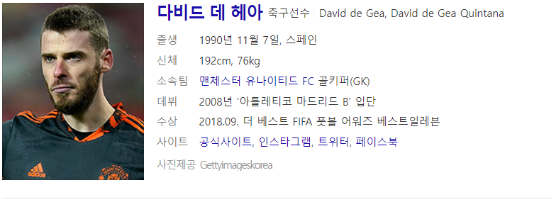 다비드 데 헤아 (출처 : Daum 인물검색)