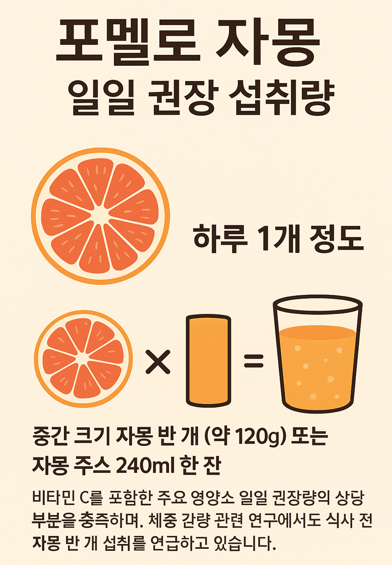 포멜로(자몽) 일일 권장 섭취량