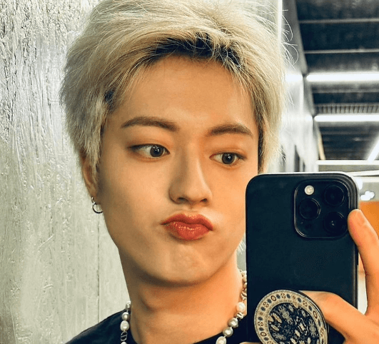 트레저 독도 논란