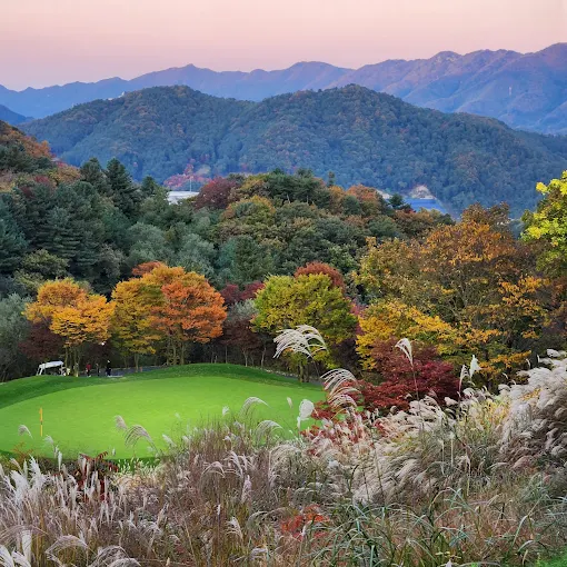 가평 아난티 코드 골프클럽 소개 및 이용방법