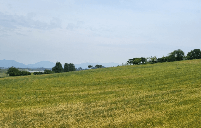 고창 가볼만한곳 베스트10