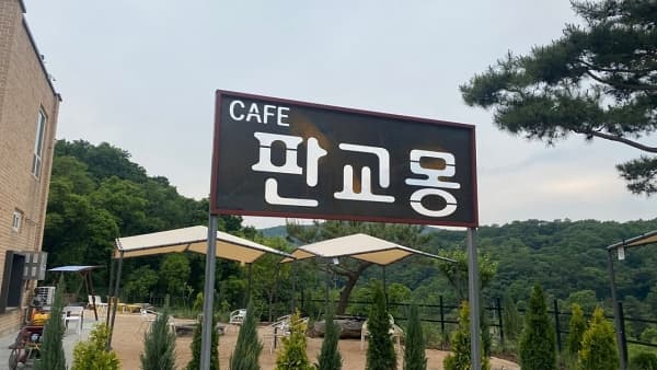 🌿 판교몽, 서울 근교 힐링의 정답! 분당 판교몽 카페... 뭐가 다를까?