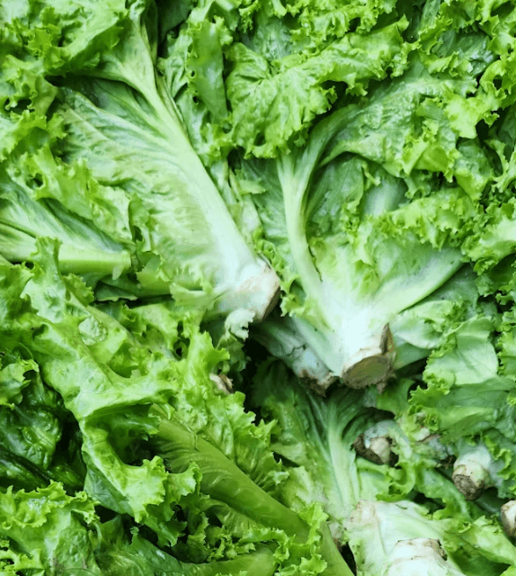 숙면 &건강 꿀팁: 밤에 먹으면 좋은 음식 6가지