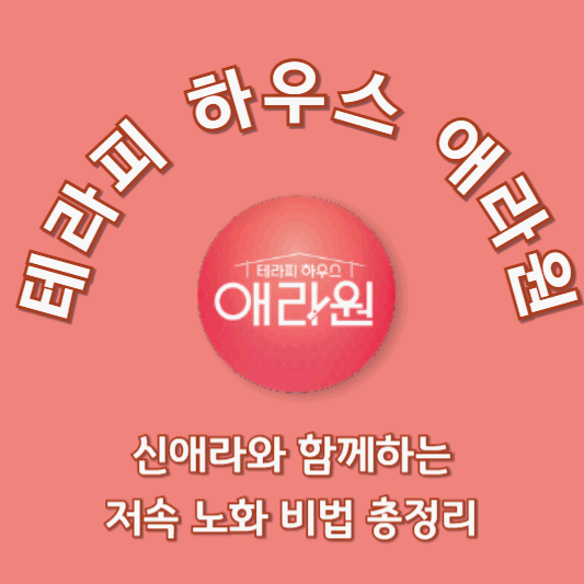 테라피 하우스 애라원: 신애라와 함께하는 저속 노화 비법 총정리