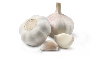 비염에 좋은 마늘