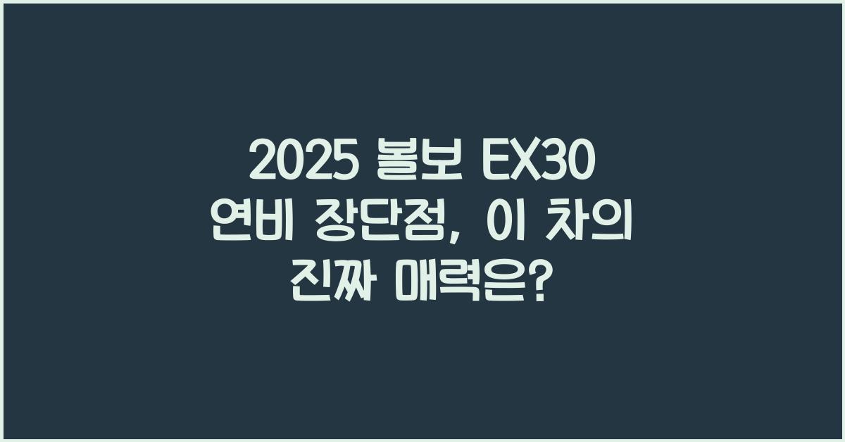 2025 볼보 EX30 연비 장단점