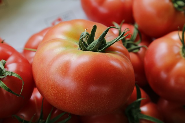 토마토의 핵심 성분은 라이코펜(Lycopene)
