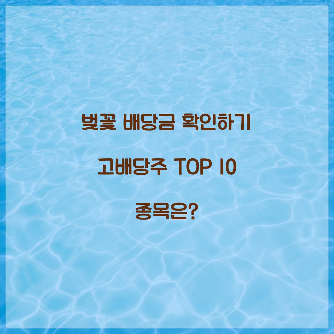 벚꽃 배당금