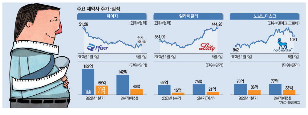 일라이릴리 vs. 노보 노르디스크