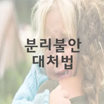 강아지 분리불안 진정 노즈워크 퍼즐 장난감 활용법_20