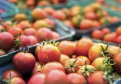 전국 롯데마트 영업시간 휴무일