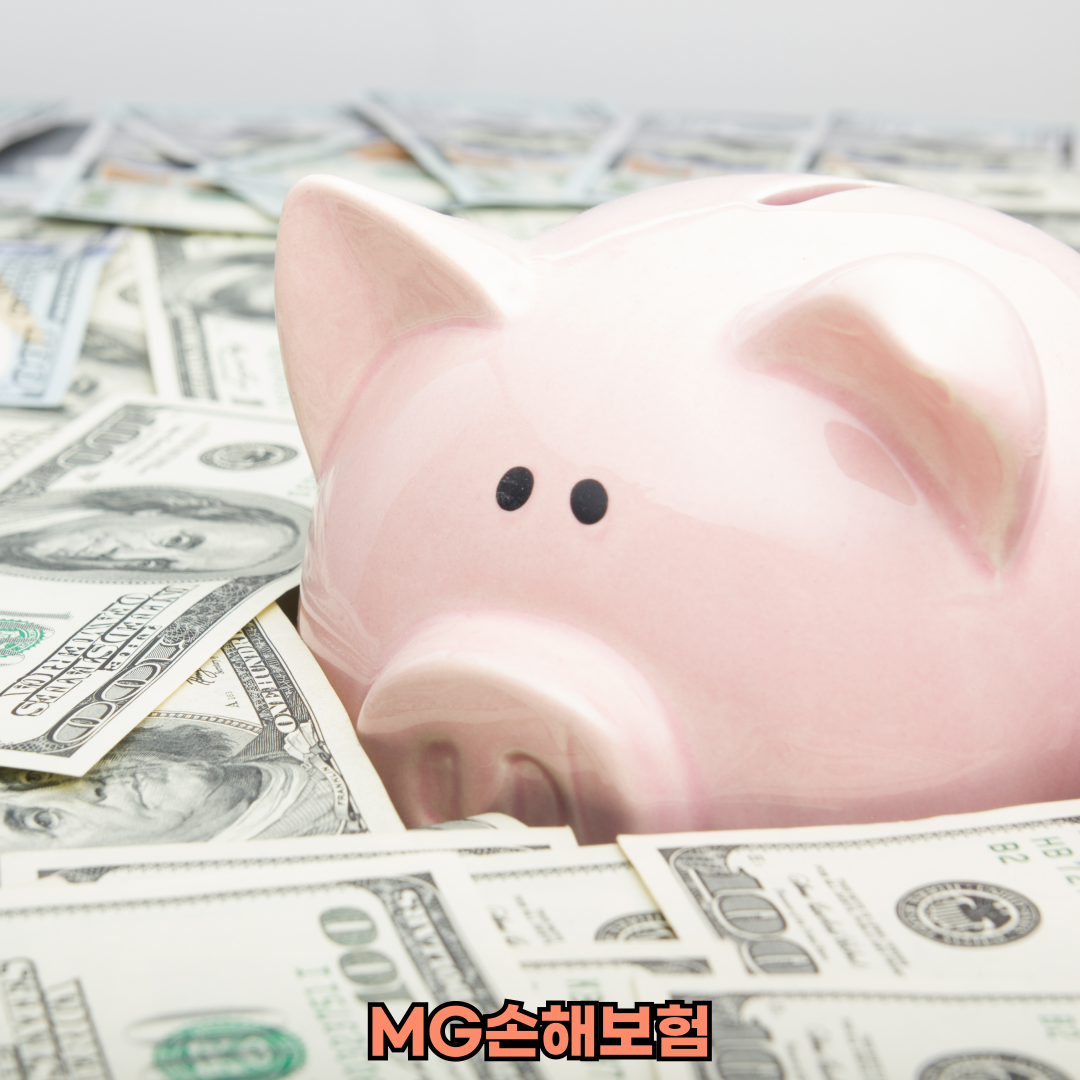 mg손해보험