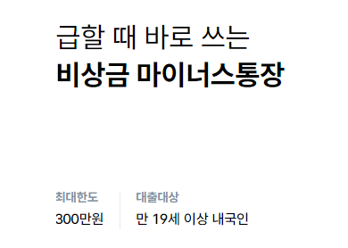 300만원 대출
