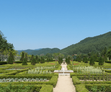 단풍여행 당일 단풍버스여행