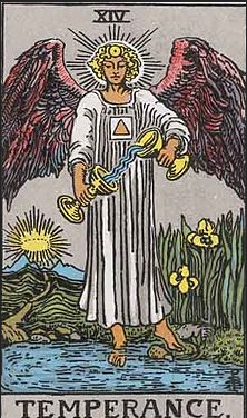 타로카드 절제카드