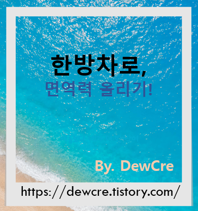 기력 회복과 면역력 강화에 좋은 한방차 레시피 모음