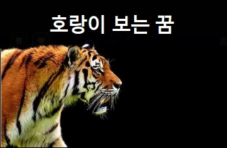 호랑이 보는 꿈