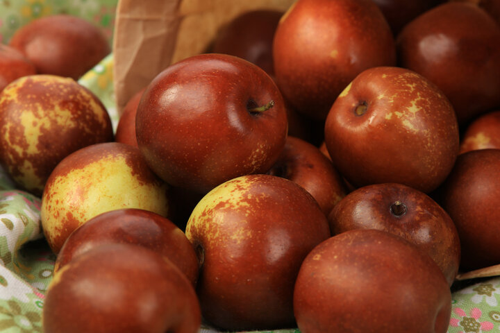 사과대추 효능 11가지, 사과대추 먹는법