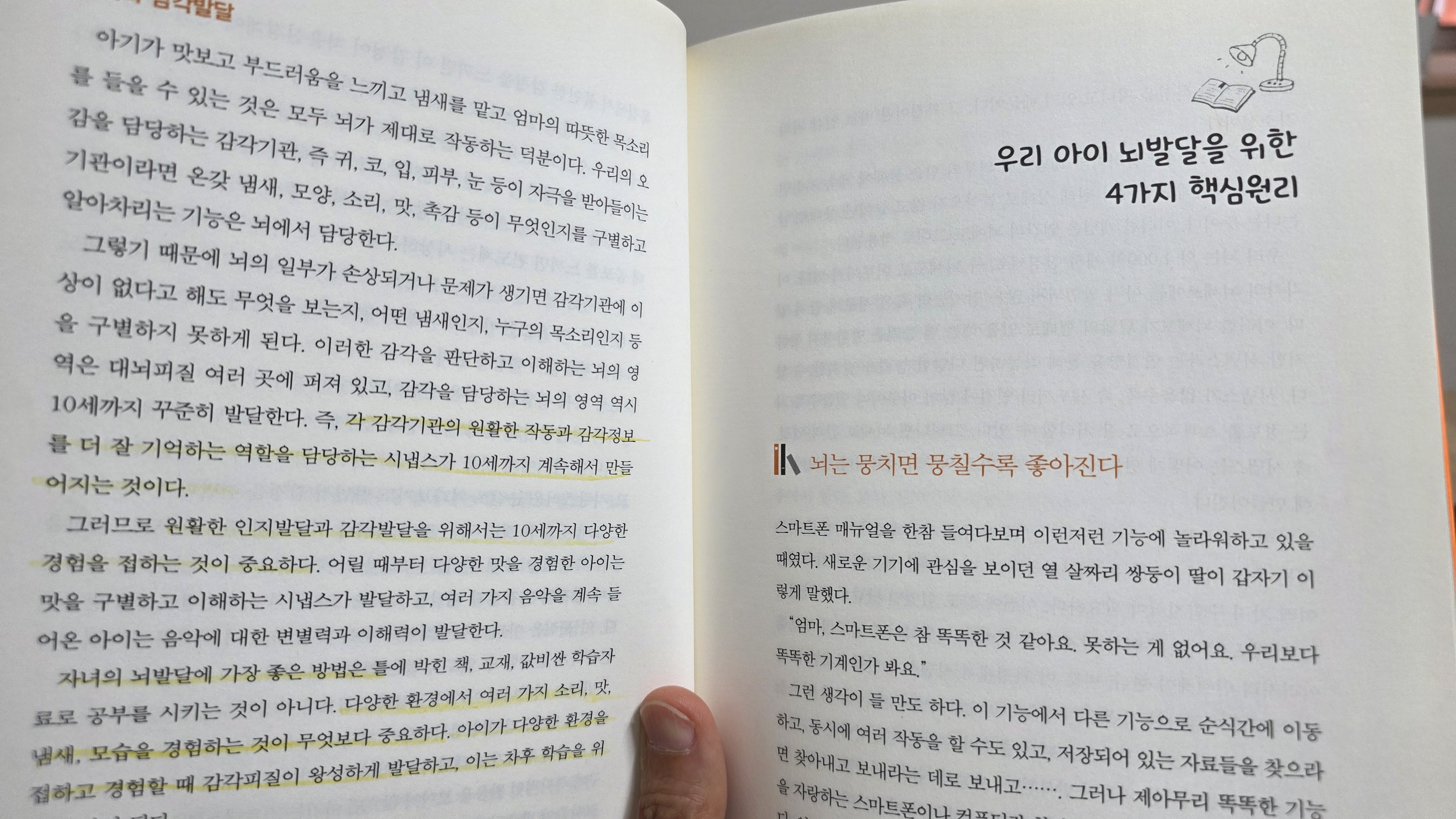 우리 아이 뇌발달을 위한 핵심 원리를 설명하고 있는 페이지
