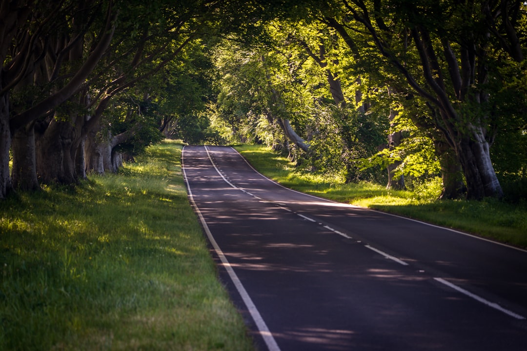 Destination