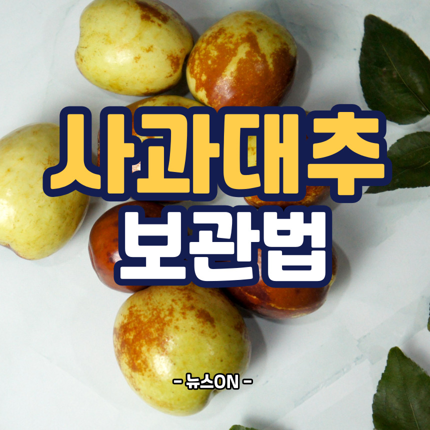 사과대추 보관법