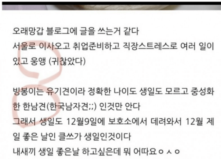 나는솔로-4기-정자-블로그-글